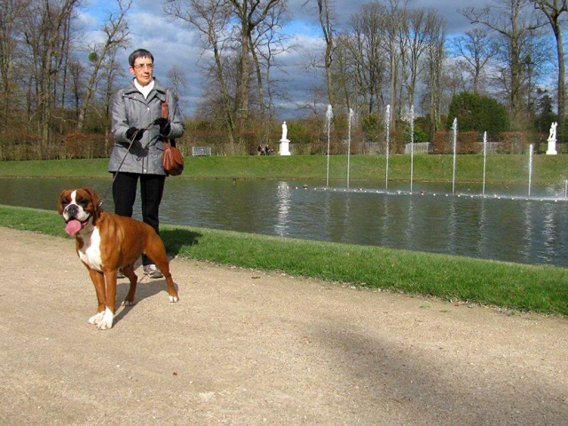 Promenade à Versailles